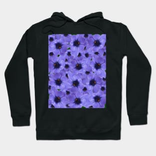 Ladybird Hoodie